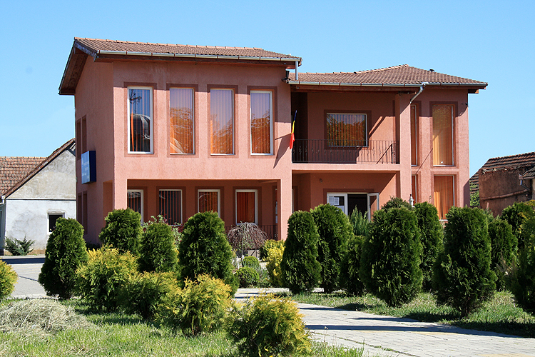 Primaria Comunei Frumuseni